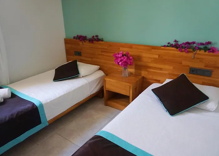 Cobanoglu מלון *